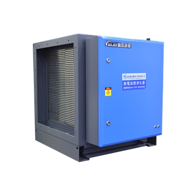 4000風(fēng)量油煙靜電處理器